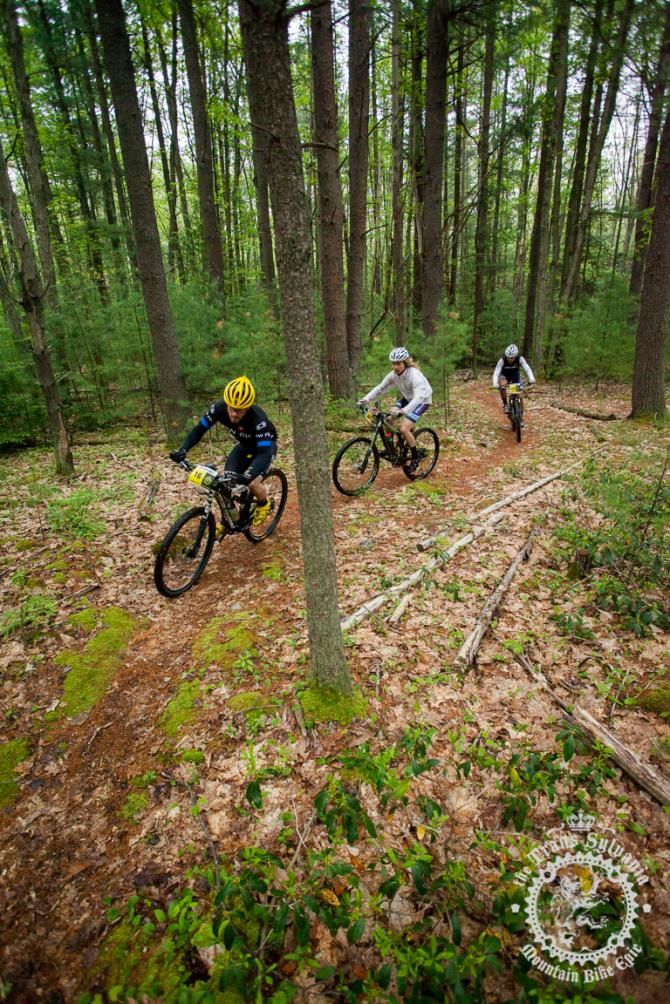 Benjamin Sawyer leads a pack through a pine stand at the end of White Deer Creek Trail