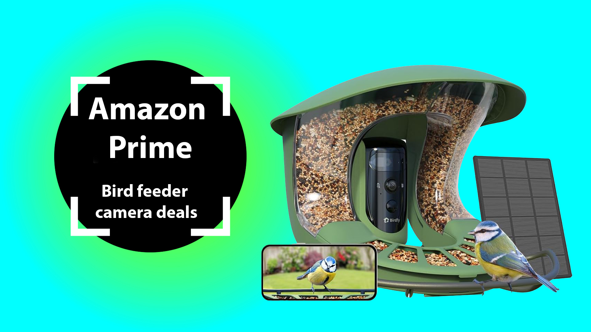 Best bird feeder camera deals