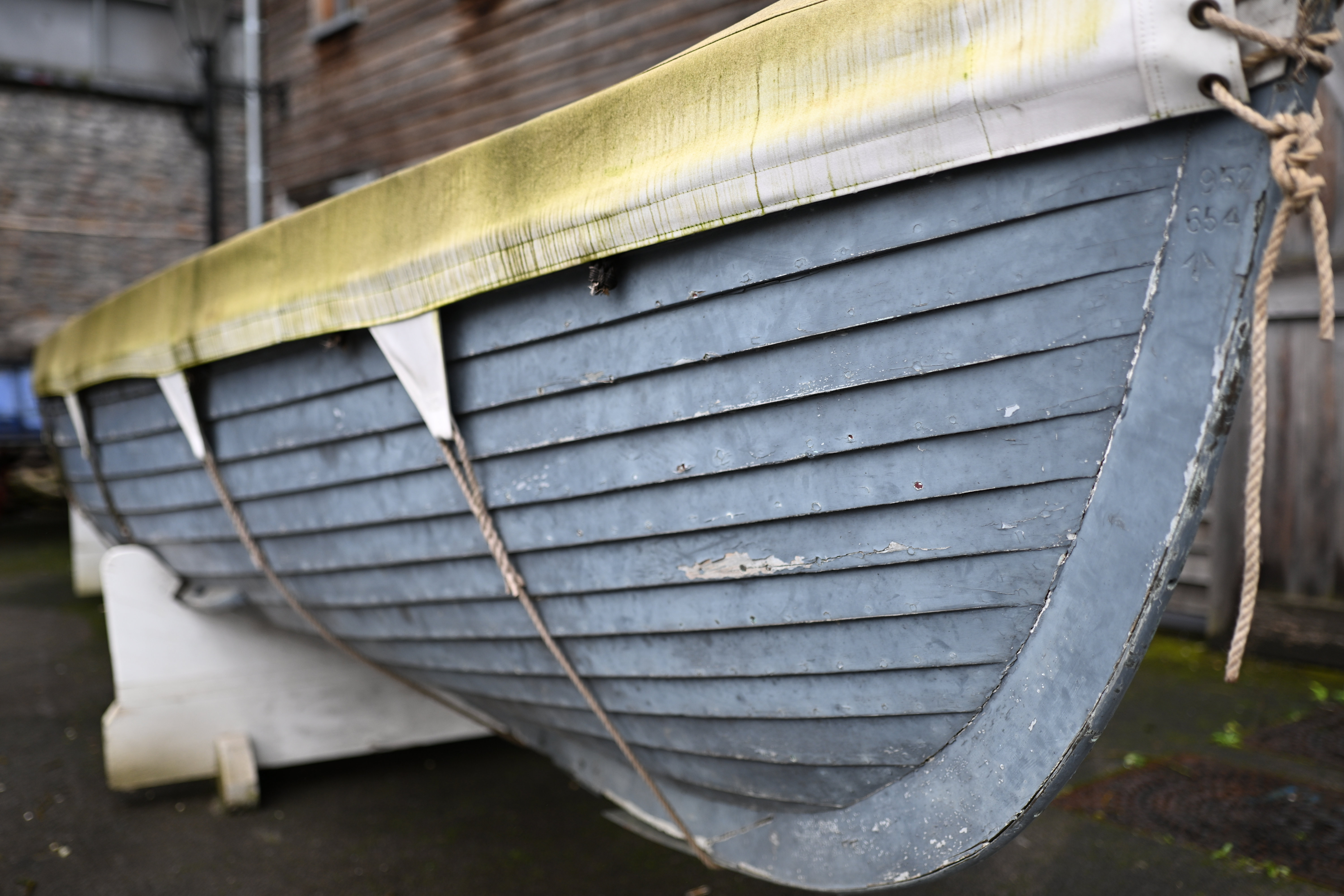 Meike 35mm f/1.8 Pro AF sample shot