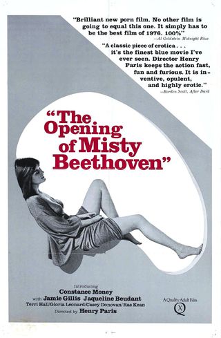 'The Opening of Misty Beethoven' (1976)