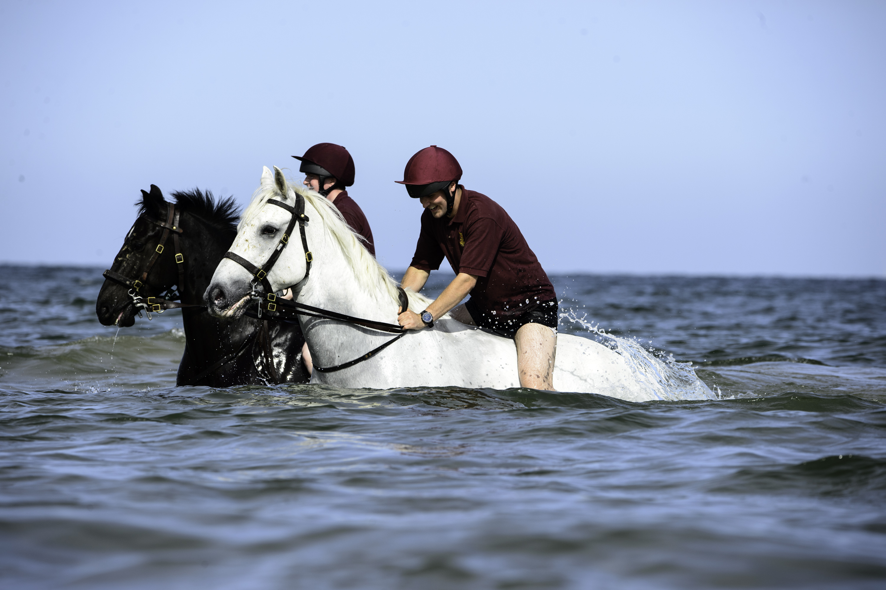 Thrown in the deep end? Riding on the beach is a fast-track way of exposing the men and horses to new experiences