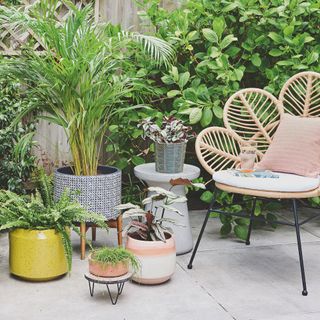 Garden patio ideas