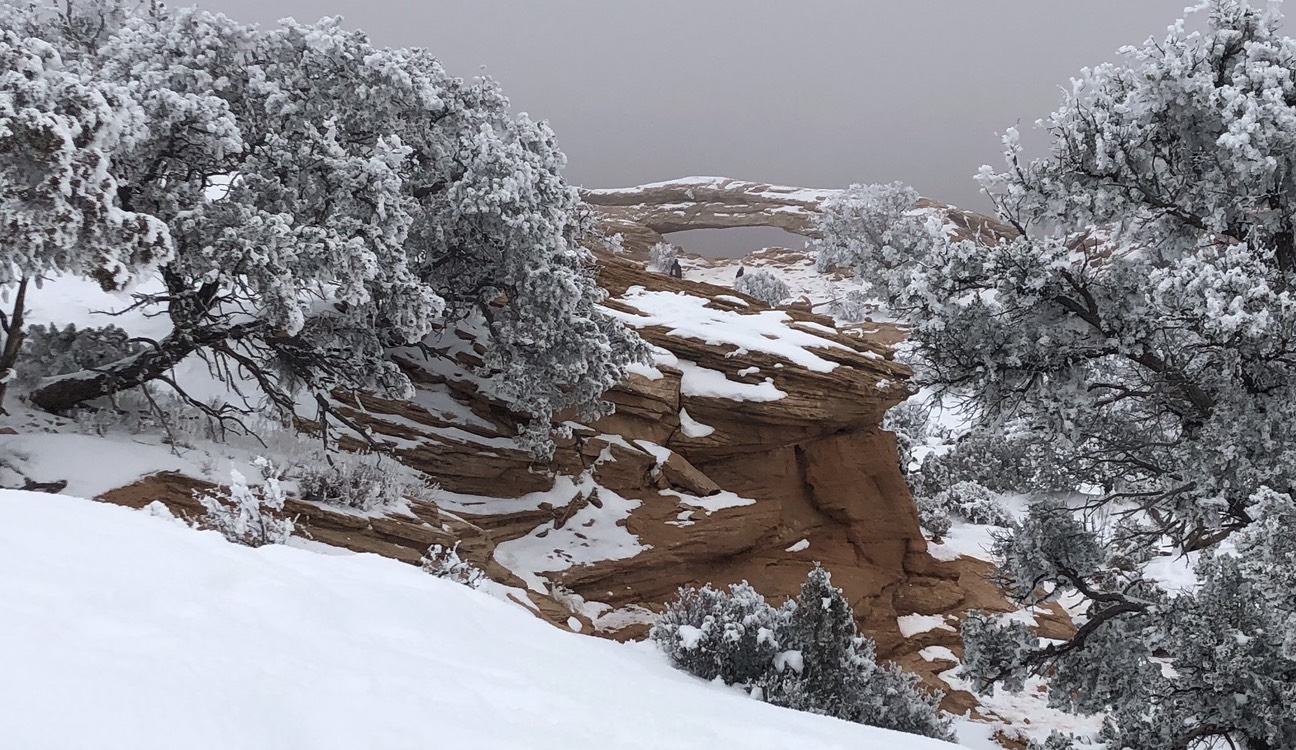 GuruShots - February 2026