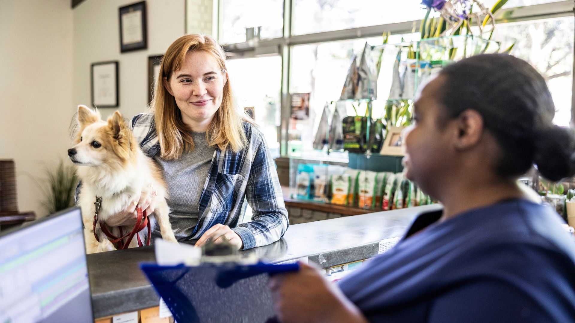 Woman speaking to vet about her dog's medical history
