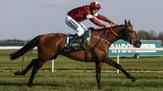 Tiger Roll has been withdrawn from the 2021 Grand National