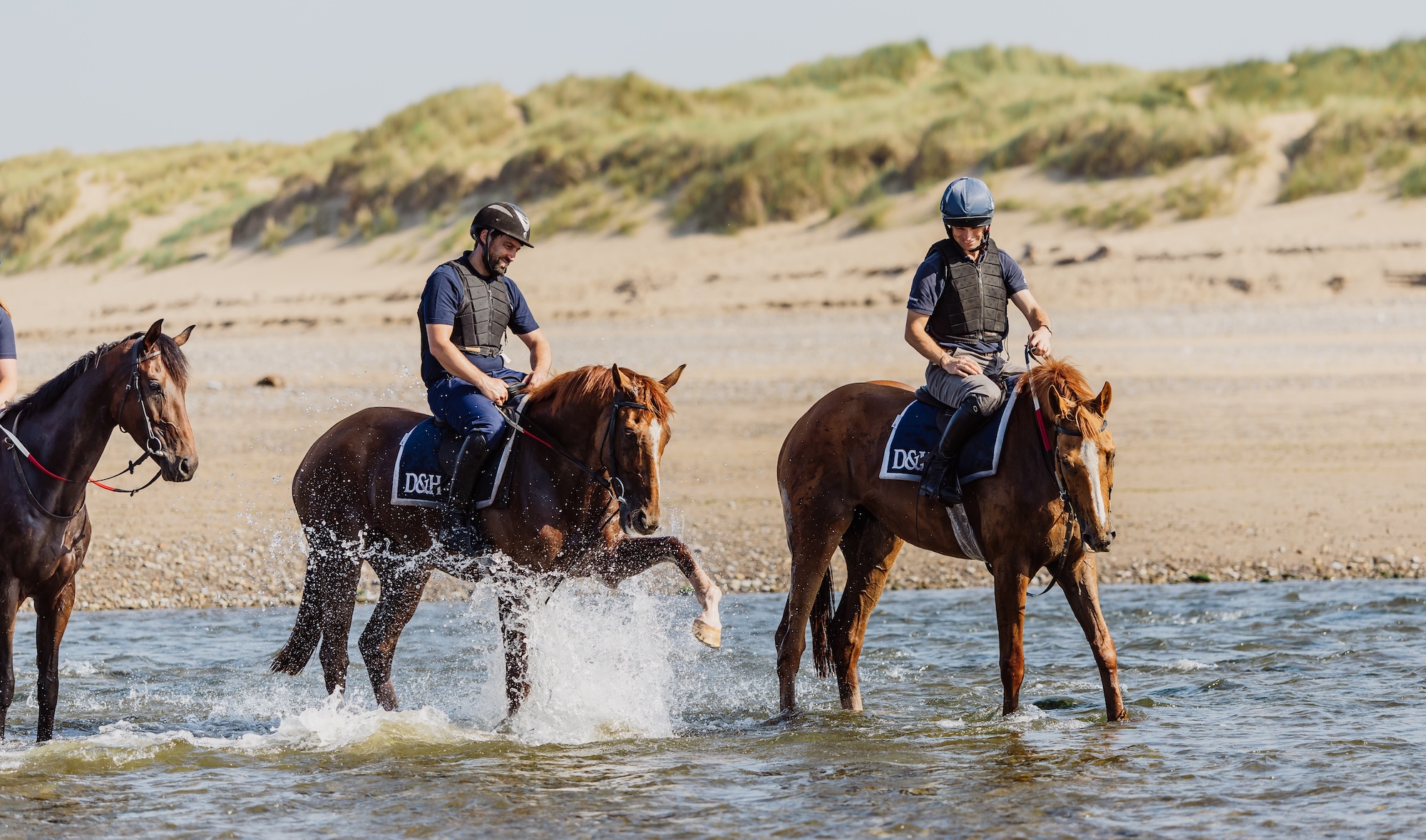 Two horses cool off in the sea