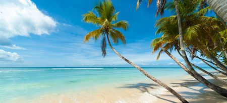 Tobago beach - Pigeon Point