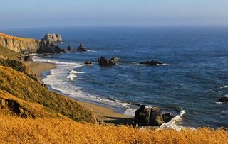 Sonoma Coastline California