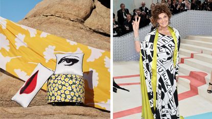 Items from the DVF for Target line including a black and yellow floral ottoman and eye and lip throw pillows next to a picture of Diane von Furstenburg at the Met Gala