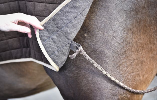 Thermatex trainer rug review