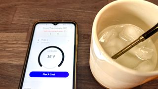 Chef IQ thermometer-Ice test