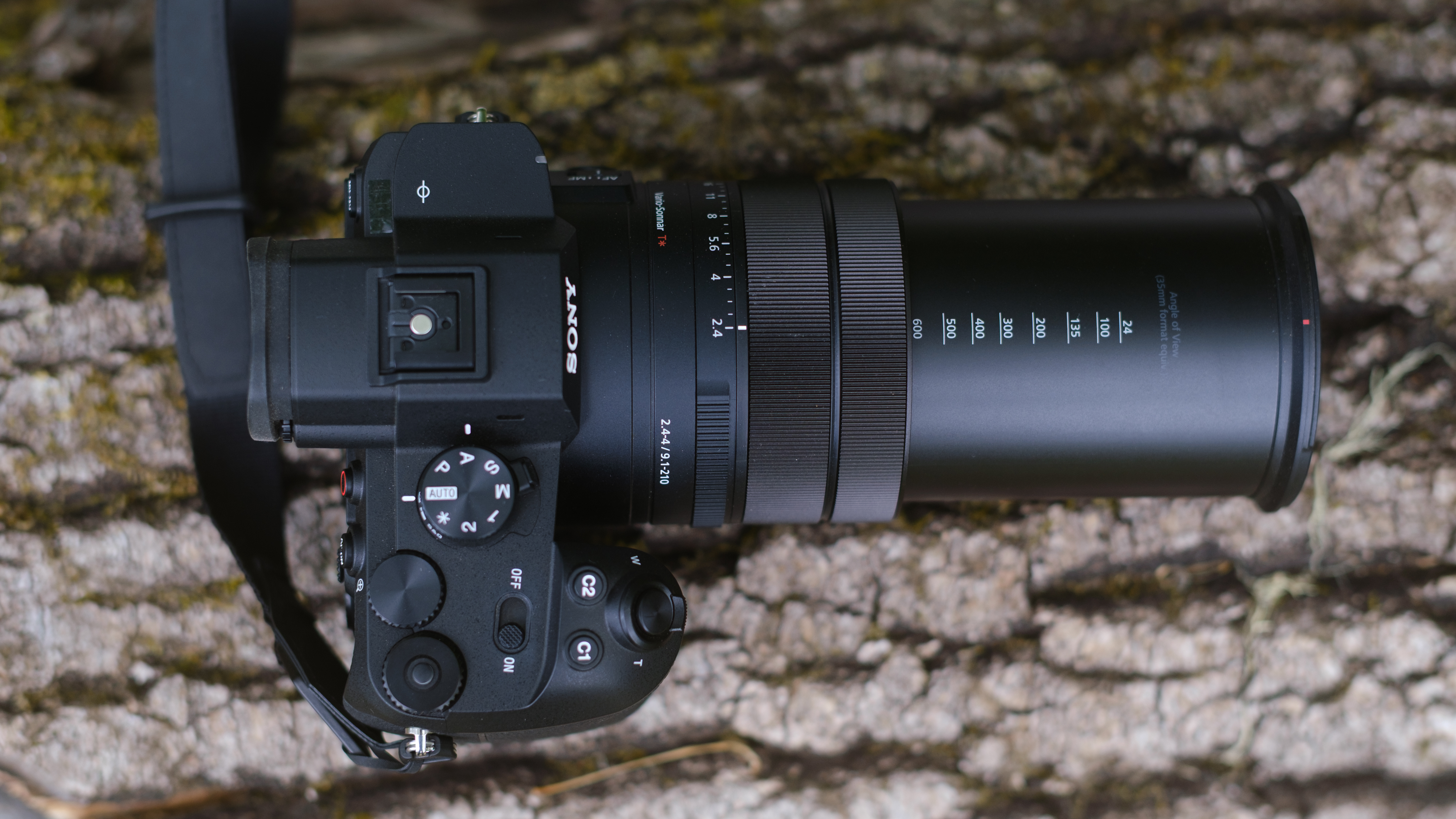 The Sony RX10 photographed outdoors