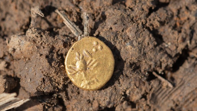 a close-up of a gold coin in the dirt