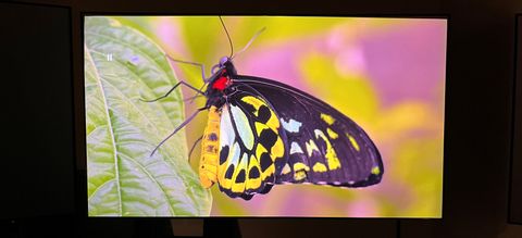 Formovie Theater Laser projector with screen showing butterfly