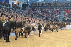 Mountain & Moorlands at Olympia
