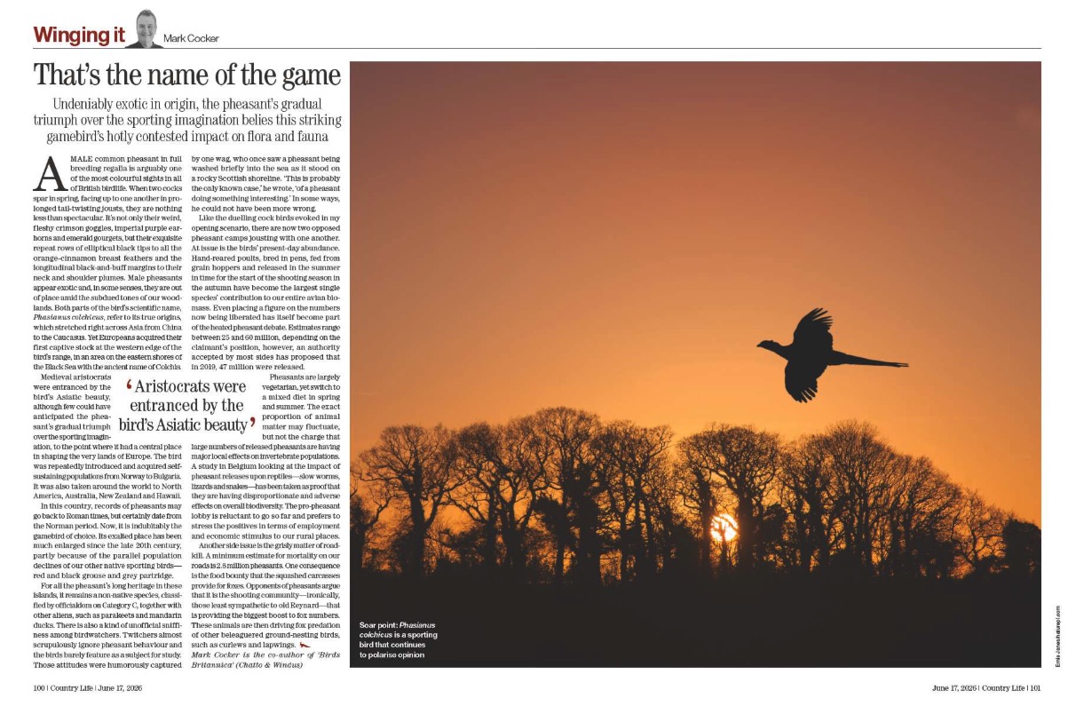Spread from Country Life June 17, 2026