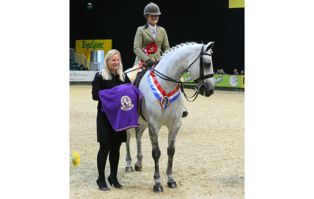 Kativa DumbledoreThe Binks Show Hunter Pony of the Year Championship