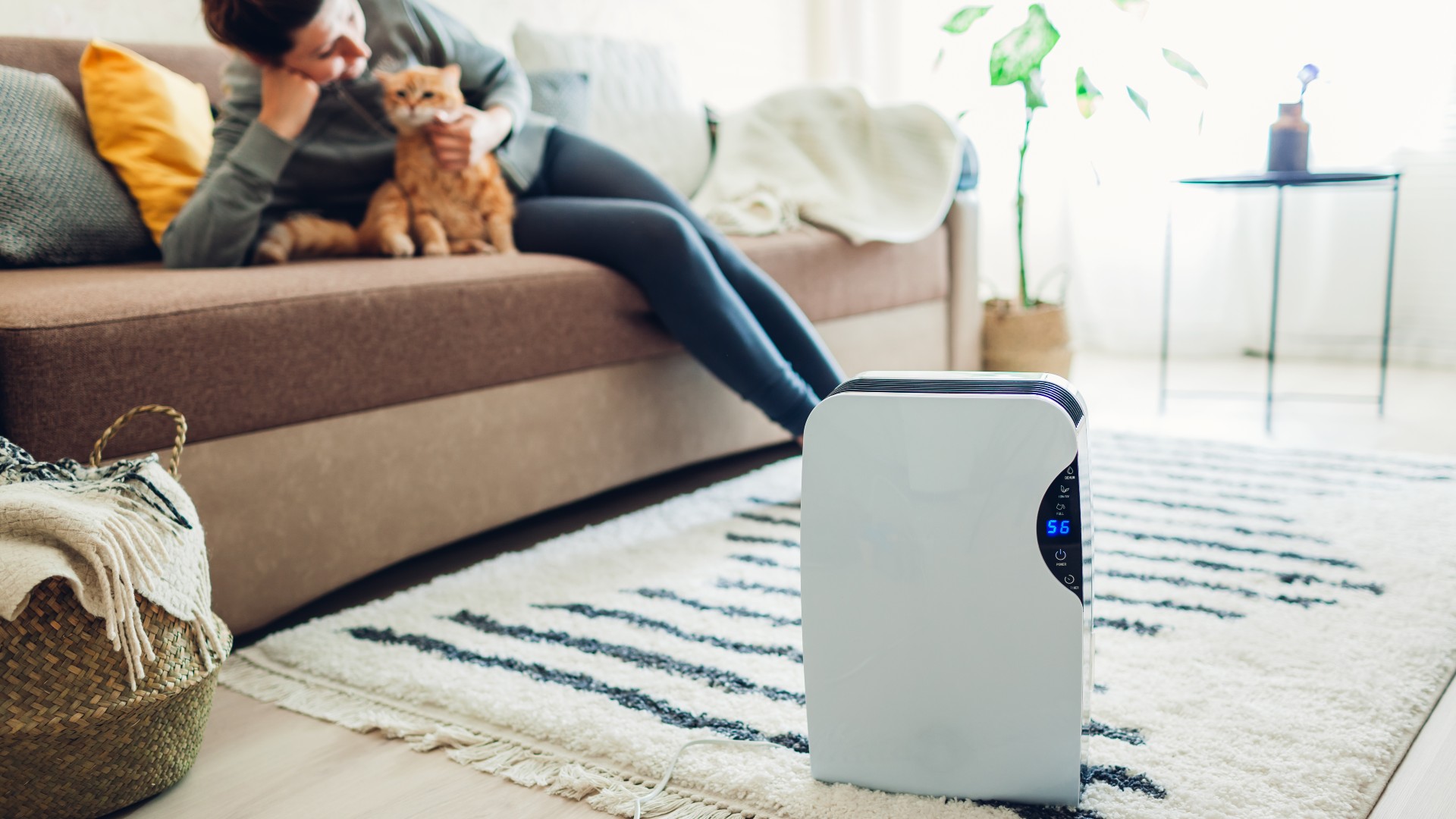 Close-up of dehumidifier in living room with woman and cat on the couch behind