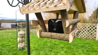 Blink Outdoor cam in a bird feeder