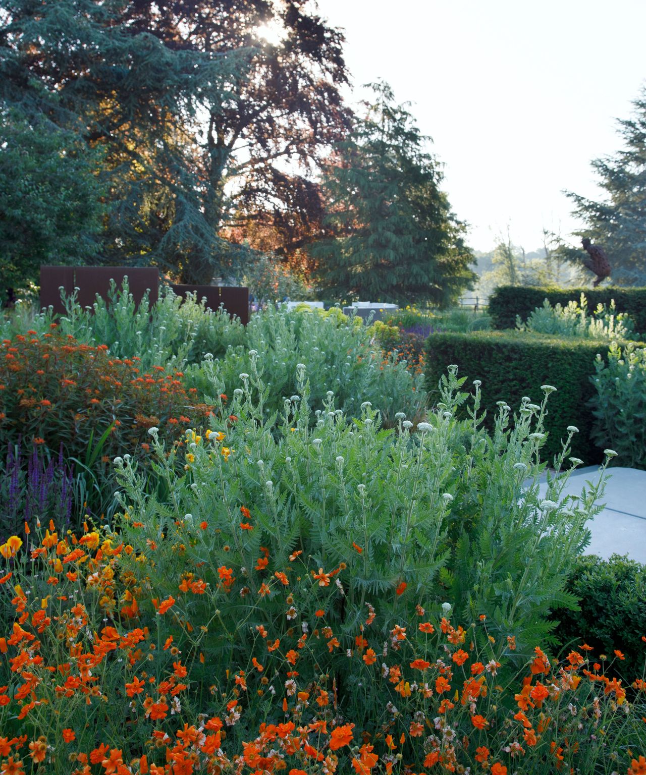 summer garden planted with hot color flowers