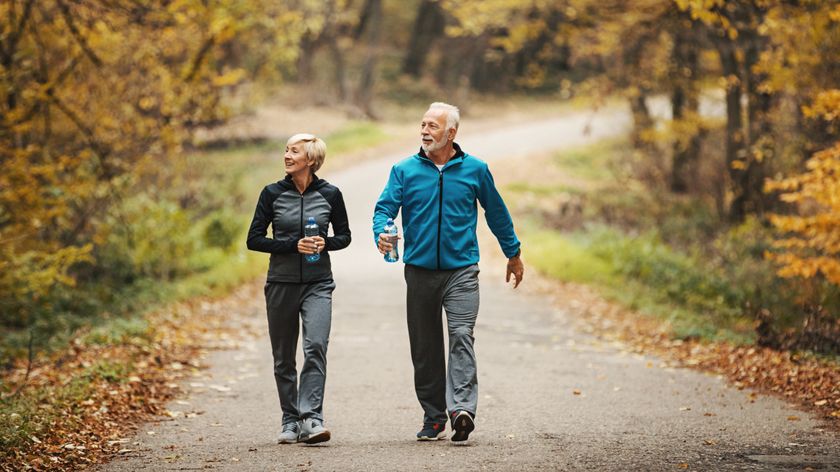 man and woman walking side by side on a woodland path