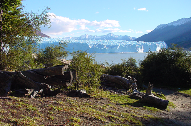 Patagonia, Wines of Argentina