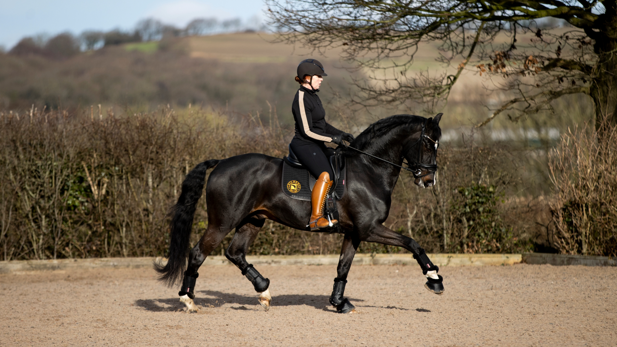 Becky Moody riding a black horse on a circle in trot