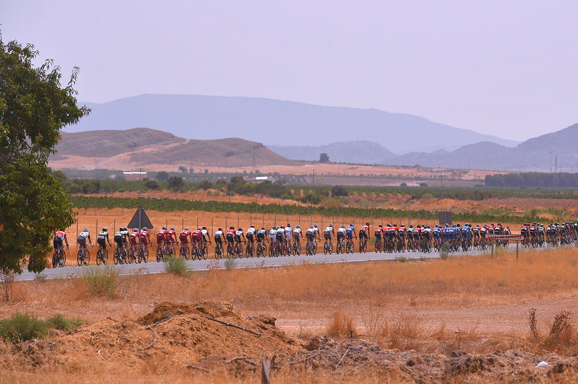 The pack at the Vuelta a Espa&ntilde;a