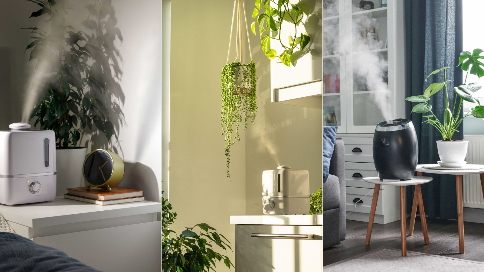Naturally Existing Humidifier How to clean a humidifier without vinegar: 3 natural ways | Homes and ...