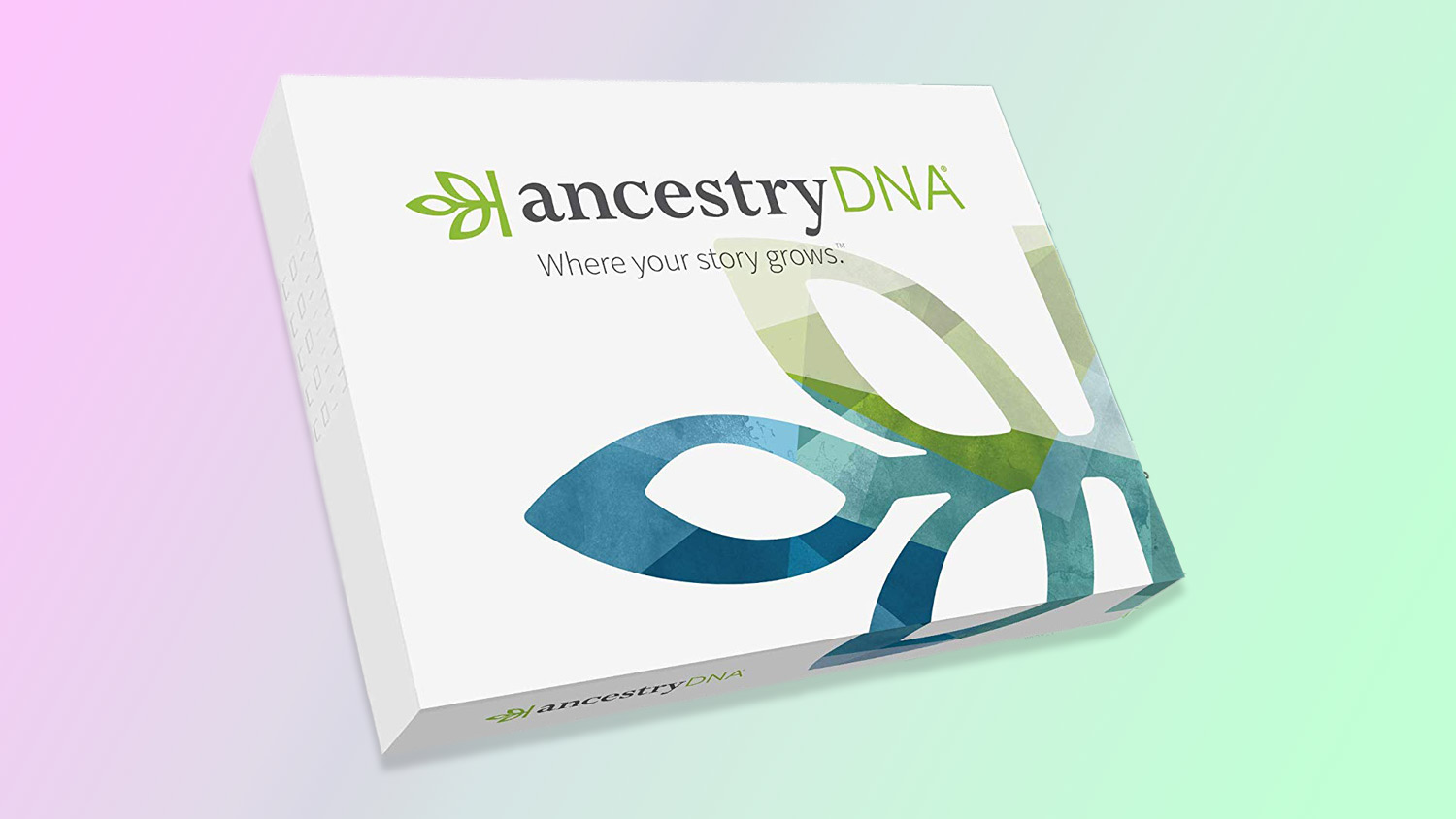 best DNA test kit