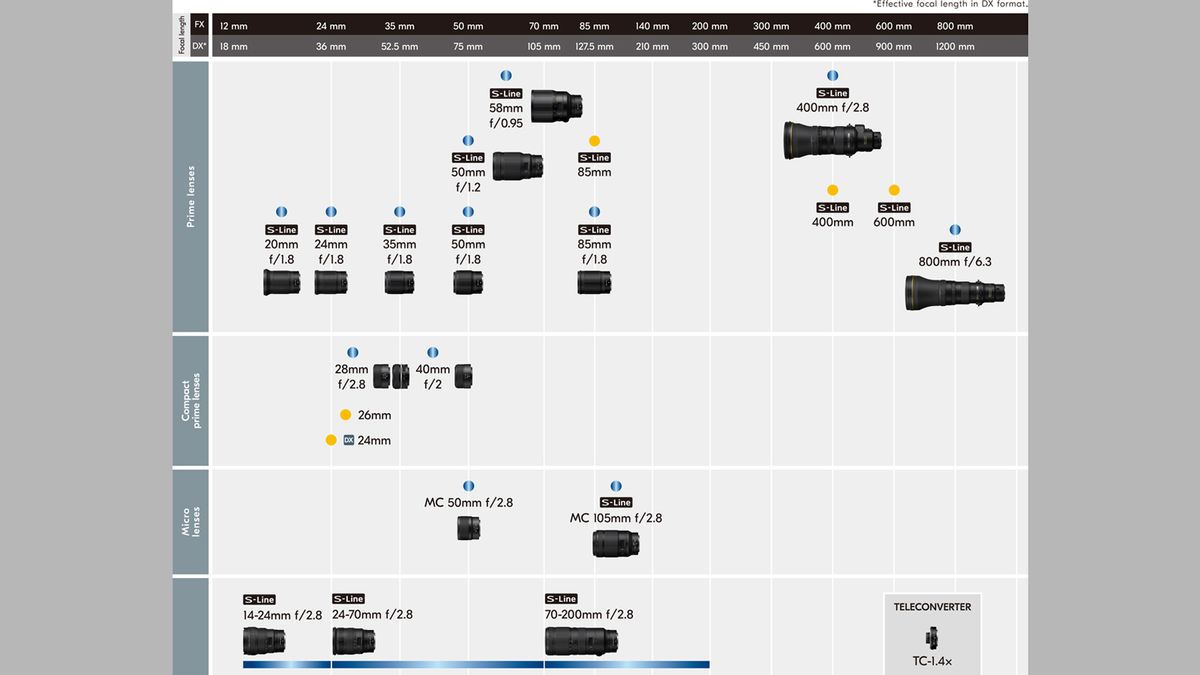 Nikon fills two crucial gaps in its lens lineup for Z series mirrorless ...