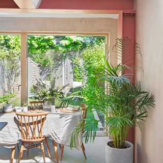 dining area with table, chairs and plants next to terracotta and peach coloured walls