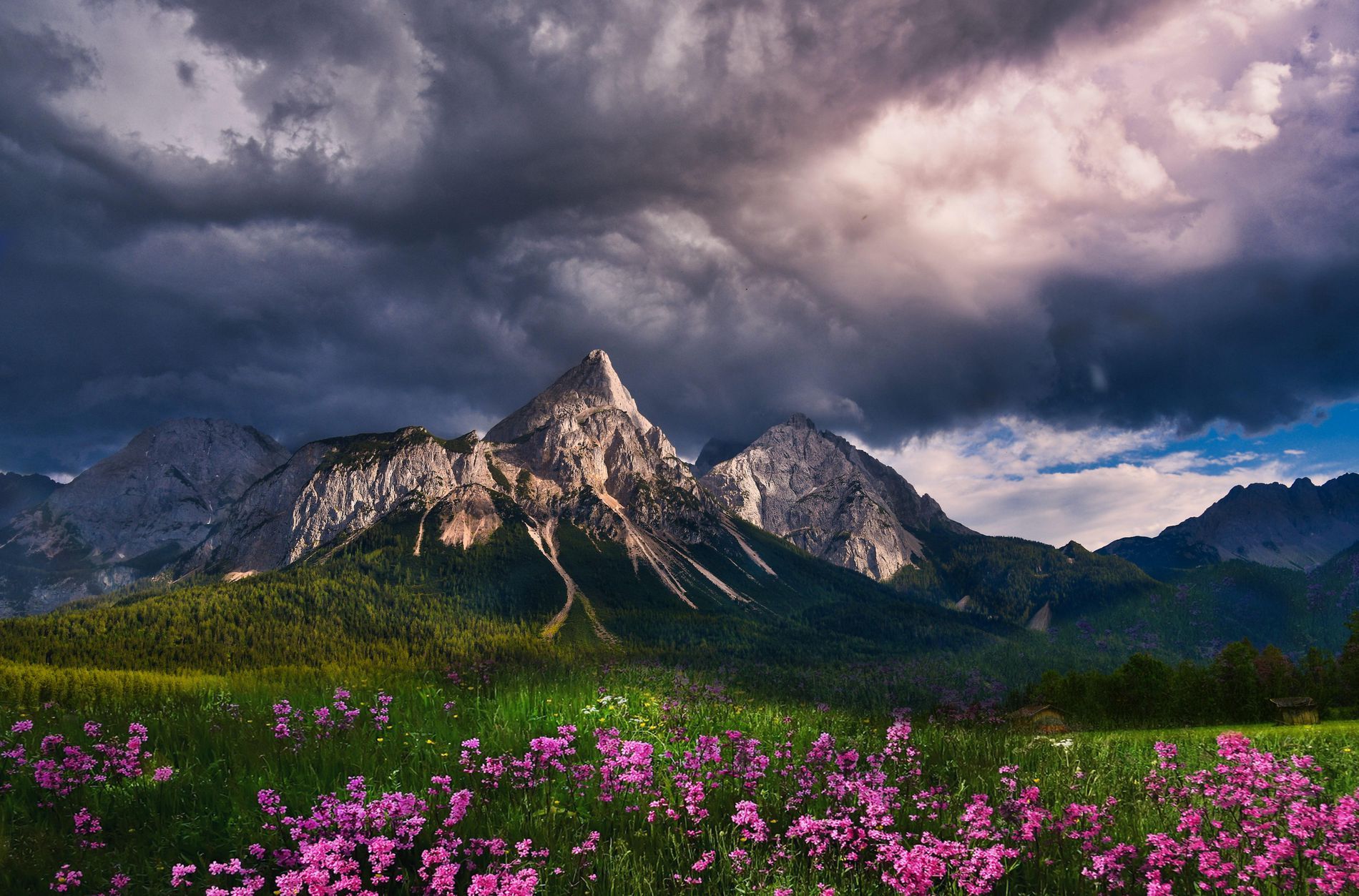 GuruShots - Travel Tales 2025