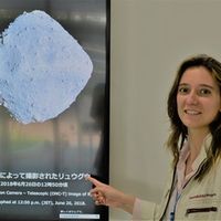 Stefania Soldini's avatar