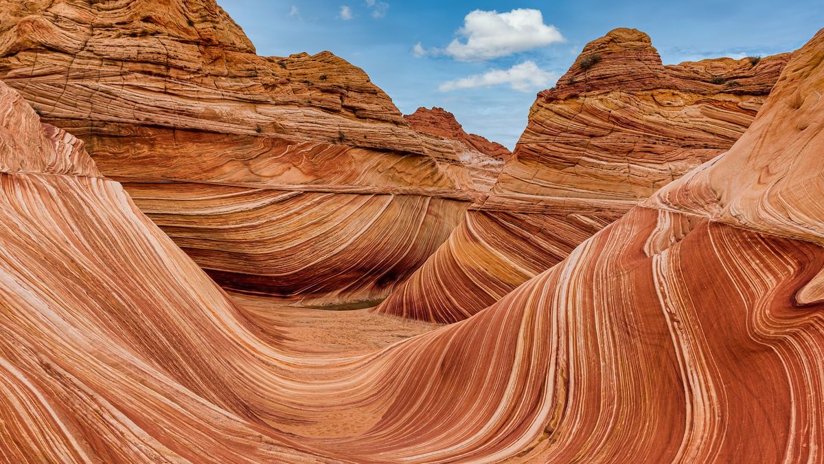 A photo of a wavy striated rock formation in the desert