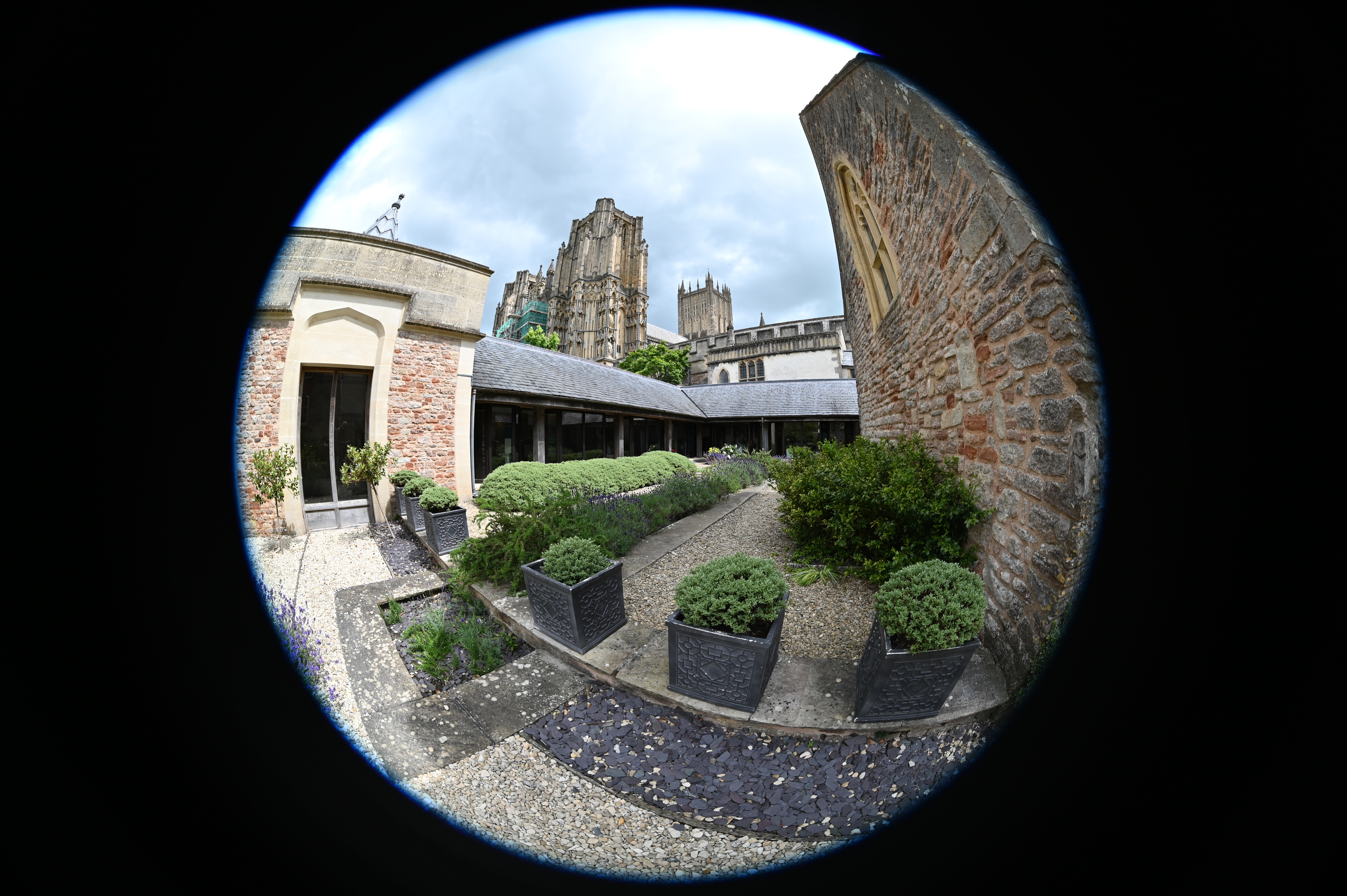 Laowa 8-15mm f/2.8 FF Zoom Fisheye example shot