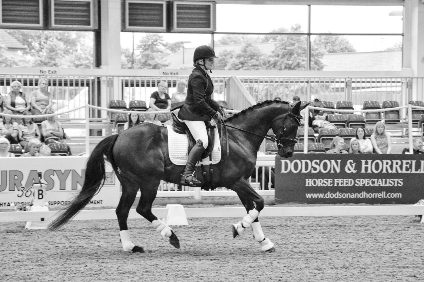 COPYRIGHT-TEAM-CLARE-POOLE-Definightly-Dressage-to-Music-Demo-and-Camp-e1565867298344.jpg