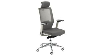Image shows the Flexispot OC13 desk chair against a white background.