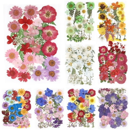 Keyohome 104/96/94pcs Pressed Dried Flowers Set Real Natural Pressing Floral Leaves Diy Real Pressed Flowers for Indoor Outdoor Home,3 Sheets