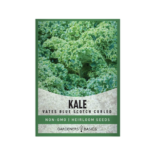 A packet of kale seeds