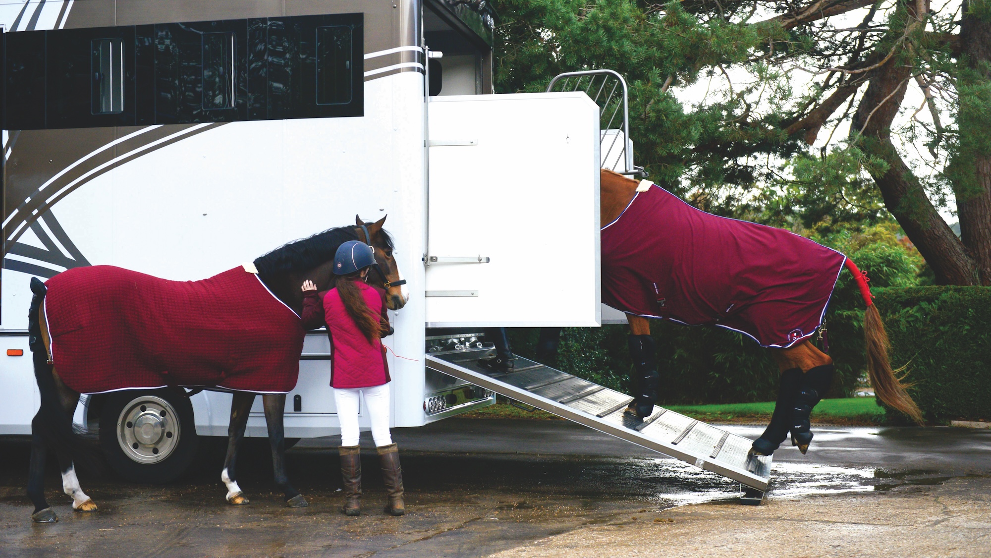 Image shows a white and beige horse box, two horses wearing matching red rugs, and a person in a red gilet. The chestnut horse is being leaded into the horsebox, while the person holds the bay horse.