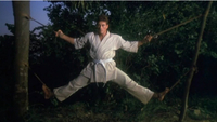   Bloodsport