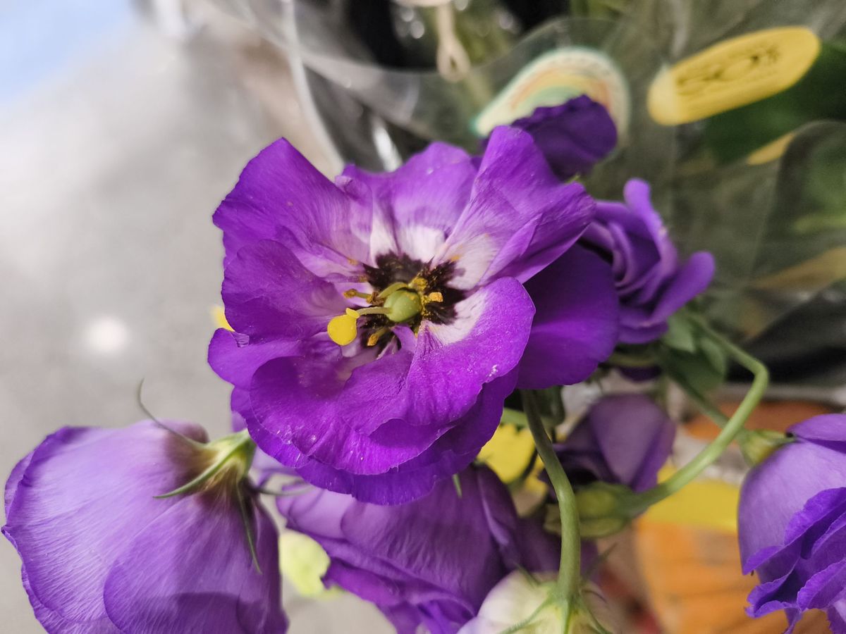 CMF Phone 1 camera sample.