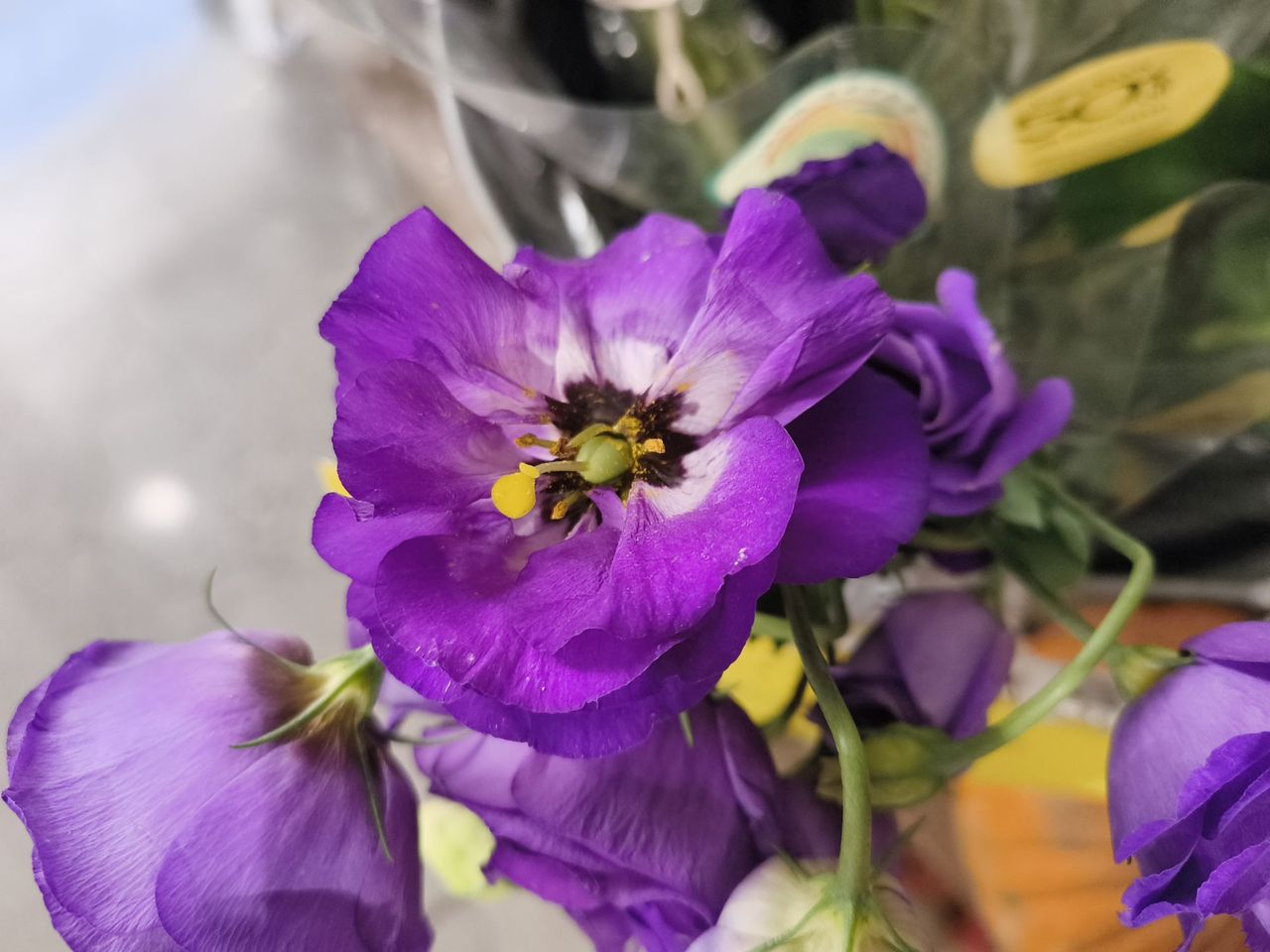 CMF Phone 1 camera sample.