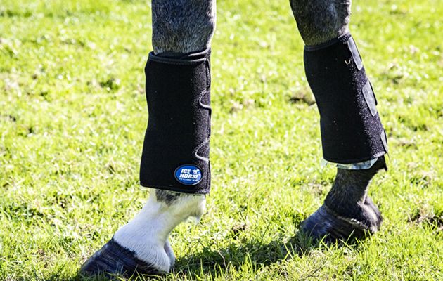 Best cool boots for horses: Icehorse Tendon Wraps review
