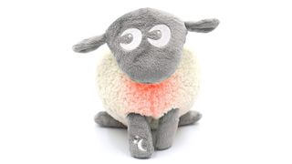 Ewan the sheep