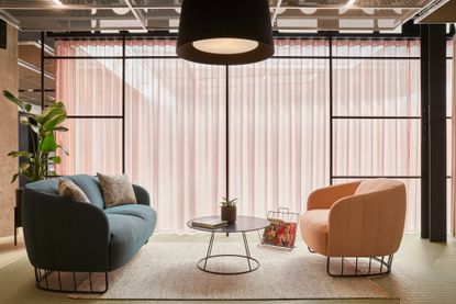 MYO SODA workspace with teal and peach couches, a rug and large windows