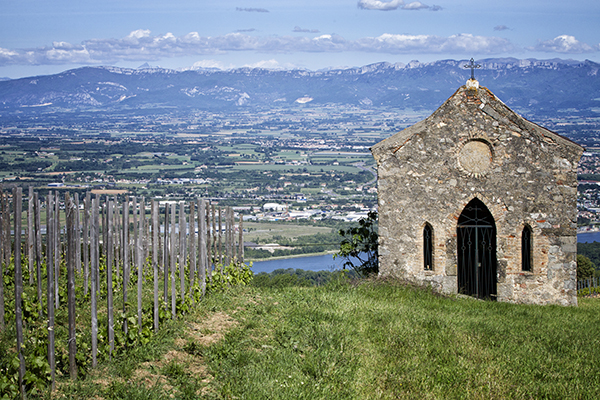 Chapelle-St-Pierre-on-the-estate-of-Domaine-Alain-Voge.-Credit-P.-Mesa.jpg