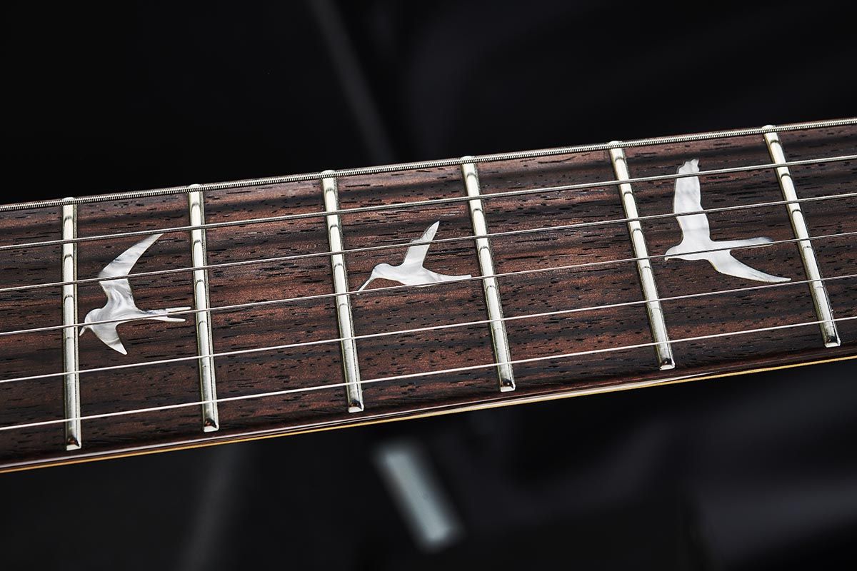 PRS SE Custom 24 and Custom 24-08