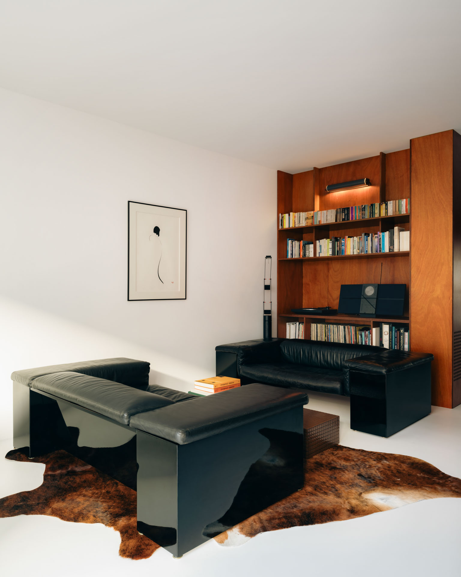 paris apartment renovated by Cyrus Ardalan